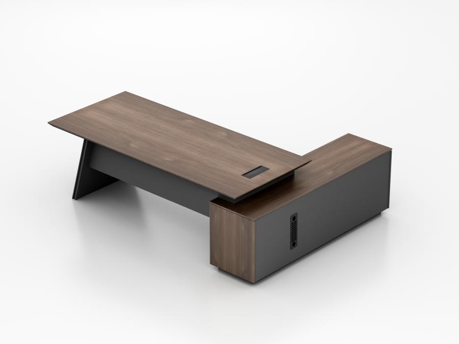 Executive Bureau model Roma